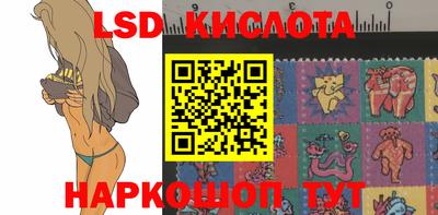 гашик Кунгур